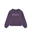 The New TNVelva OS Sweatshirt Sweet Grape TN by The New