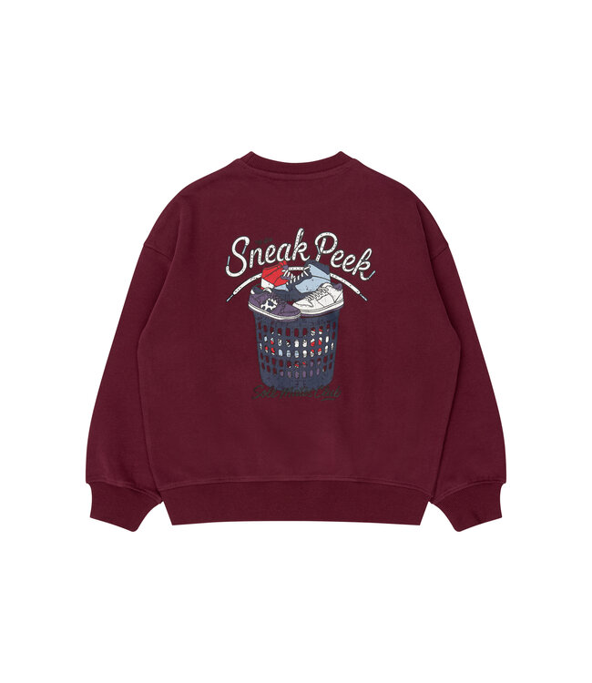 TNVitalio OS Sweatshirt Burgundy TN by The New