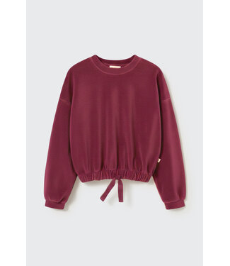Cozmo velour knit bow sweatshirt prune-velour knit by Cozmo