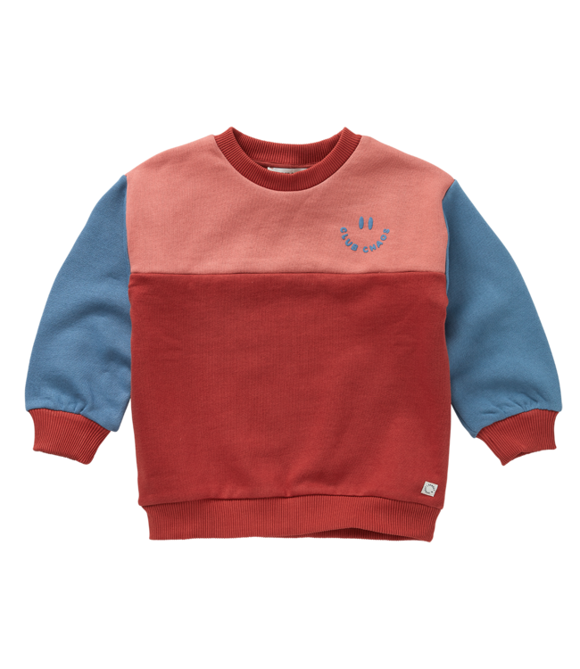 Sweatshirt colourblock   by Sproet & Sprout