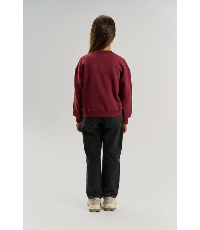 TNVirna OS Sweatshirt Burgundy TN By The New