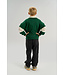 TNVirgil OS Polo Sweatshirt June Bug By The New
