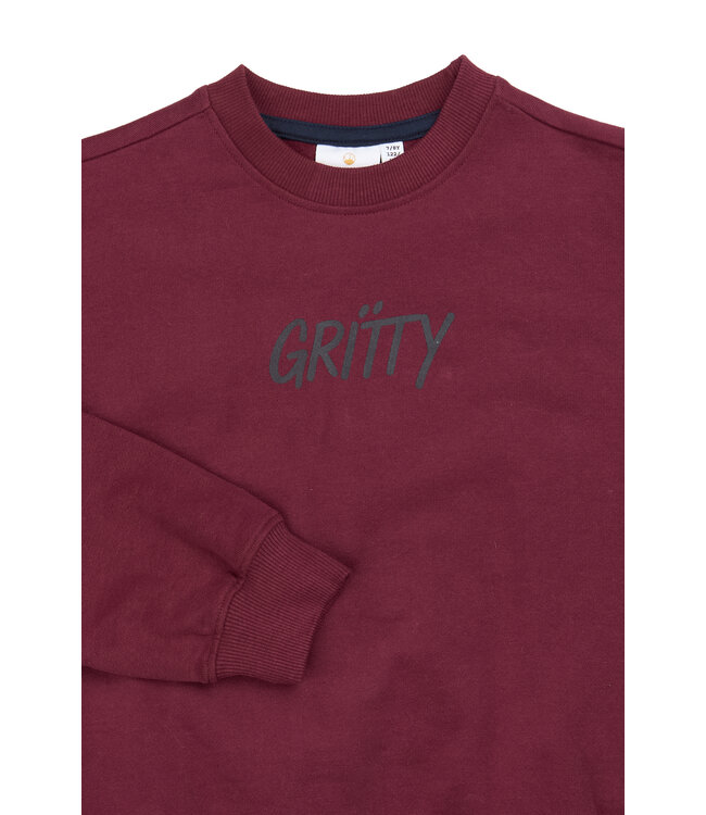 TNViggo OS Sweatshirt Burgundy TN By The New