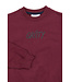 TNViggo OS Sweatshirt Burgundy TN By The New