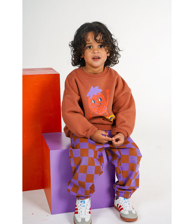 The New Chapter Wolf Sweatpants Checker