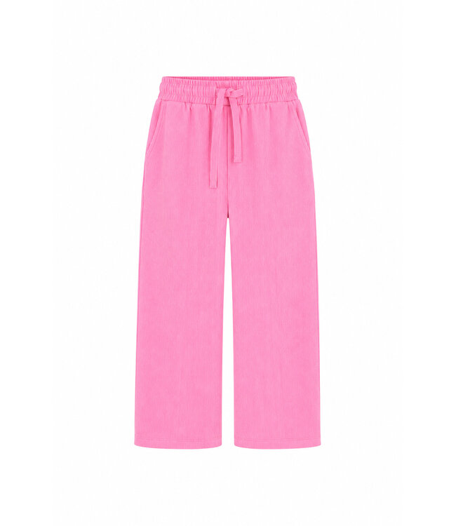 The New Chapter Atlas trousers Rosebloom