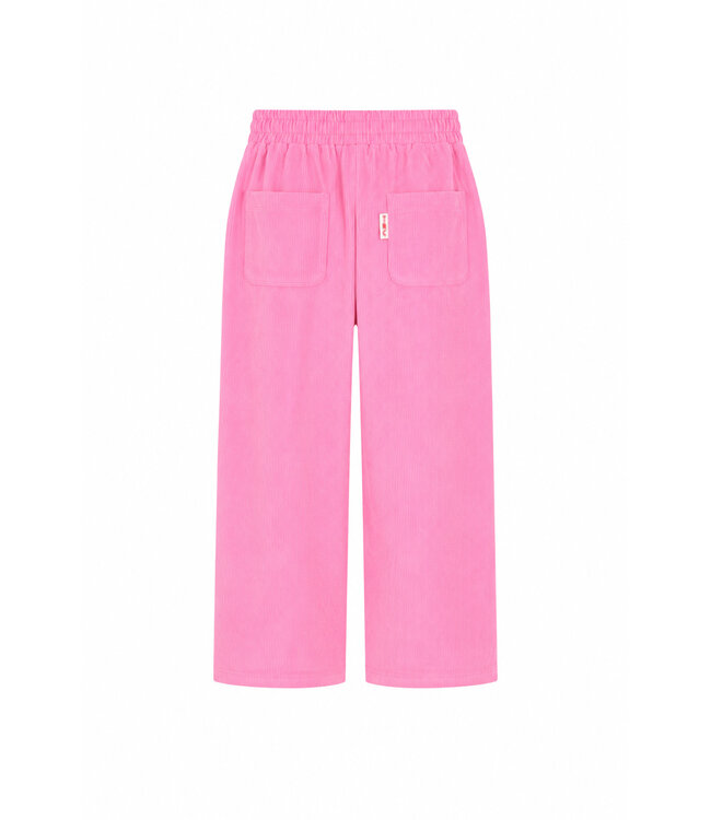 The New Chapter Atlas trousers Rosebloom