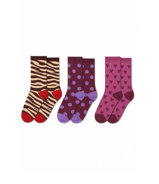 The new chapter The New Chapter Vesper socks 3-pack Multicolor girl