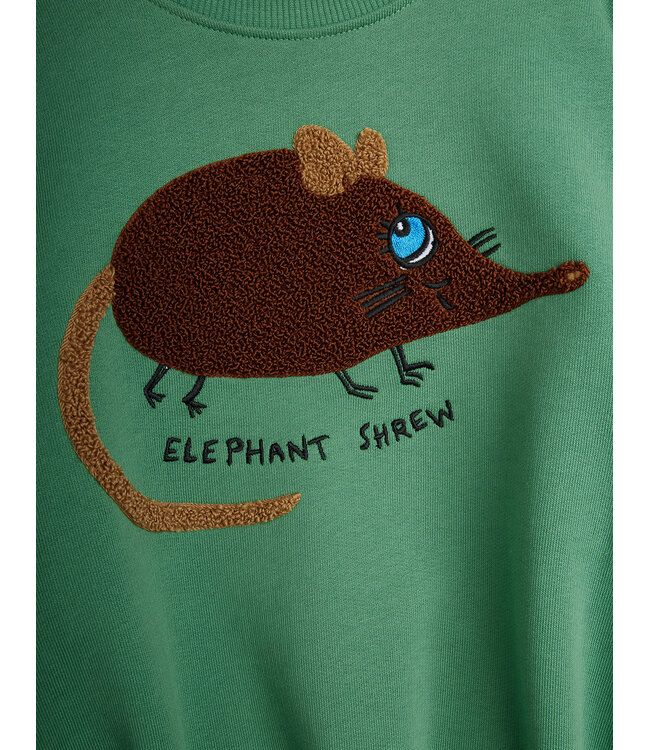 Elephant shrew chenille sweatshirt Green By Mini Rodini