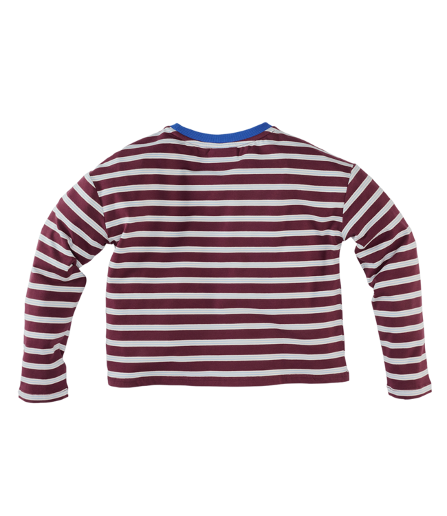 Florien Burgundy battle By Z8