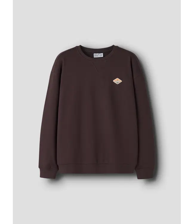 NKMOLAN LS RLX SWEAT BRU BOX Chocolate plum by Name it