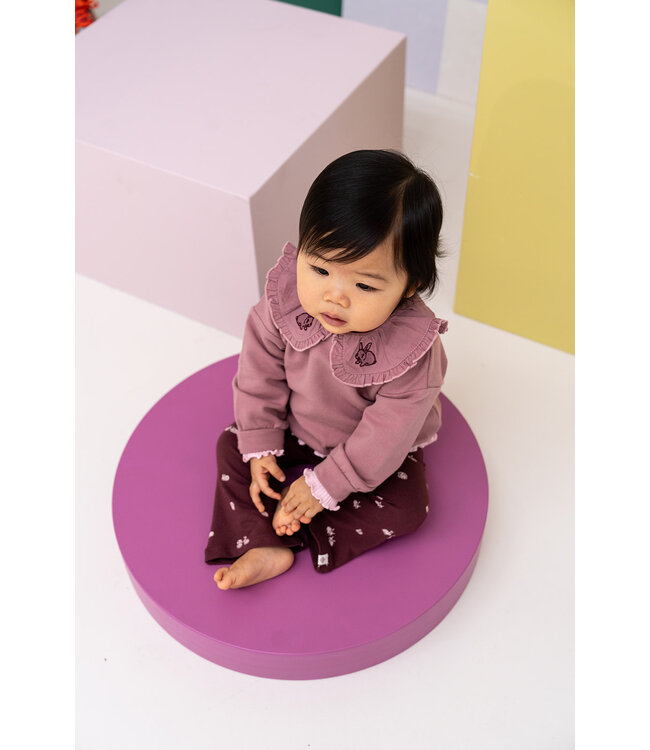 baby girls sweatshirt Rosewood by Babyface