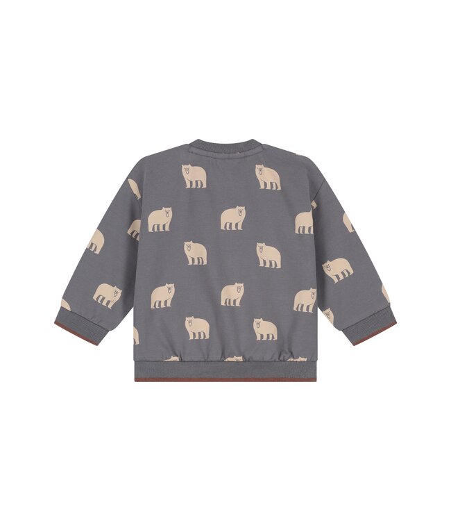 baby boys sweatshirt Steel by Babyface