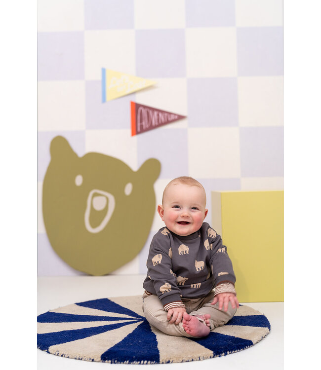 baby boys sweatshirt Steel by Babyface