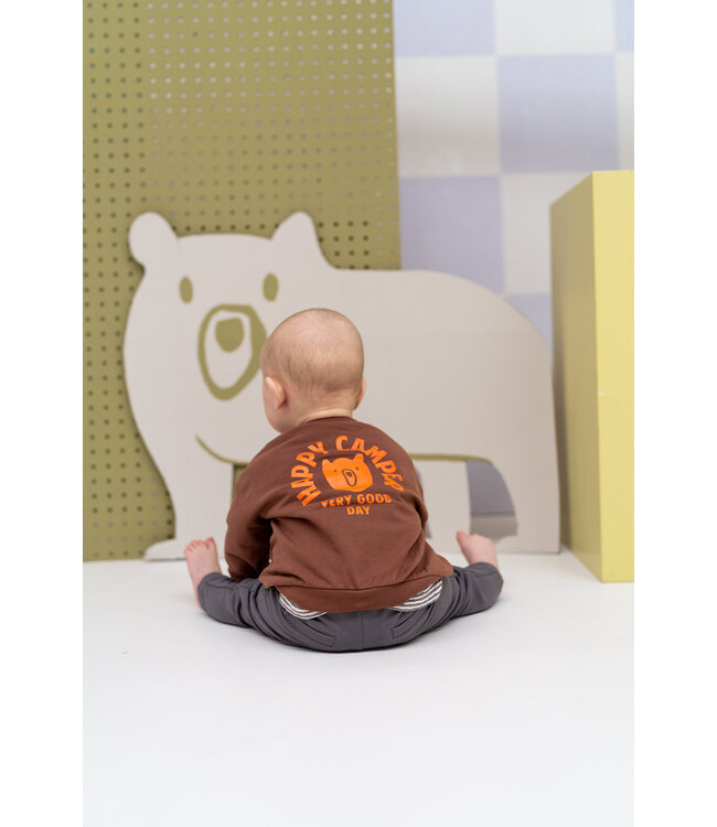 baby boys sweatshirt Chocolate by Babyface