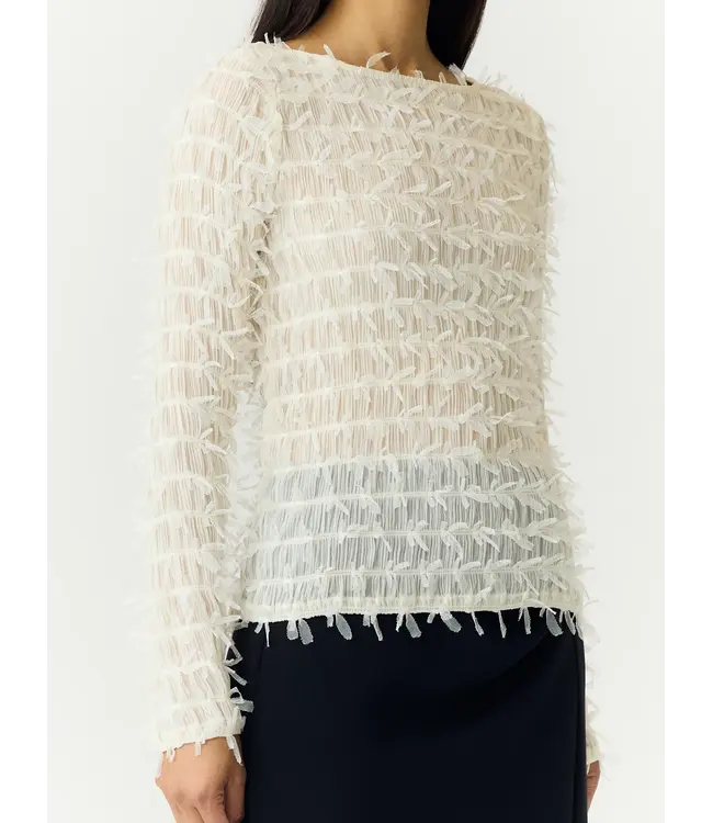 YASCOMEA LS TOP Pumice Stone by Y.A.S.