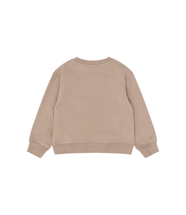 TNSTYdan OS Sweatshirt Taupe Gray TN by The New