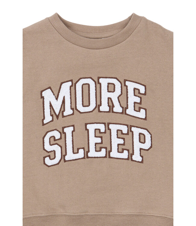 TNSTYdan OS Sweatshirt Taupe Gray TN by The New