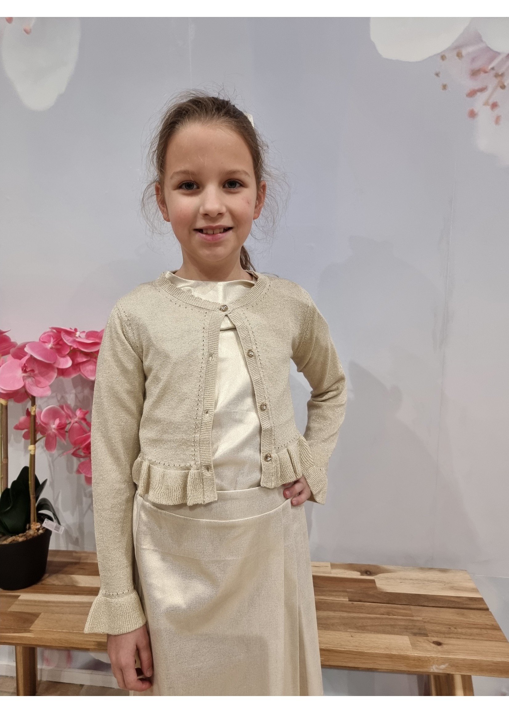 Goud vestje Lotte Gentlefashion