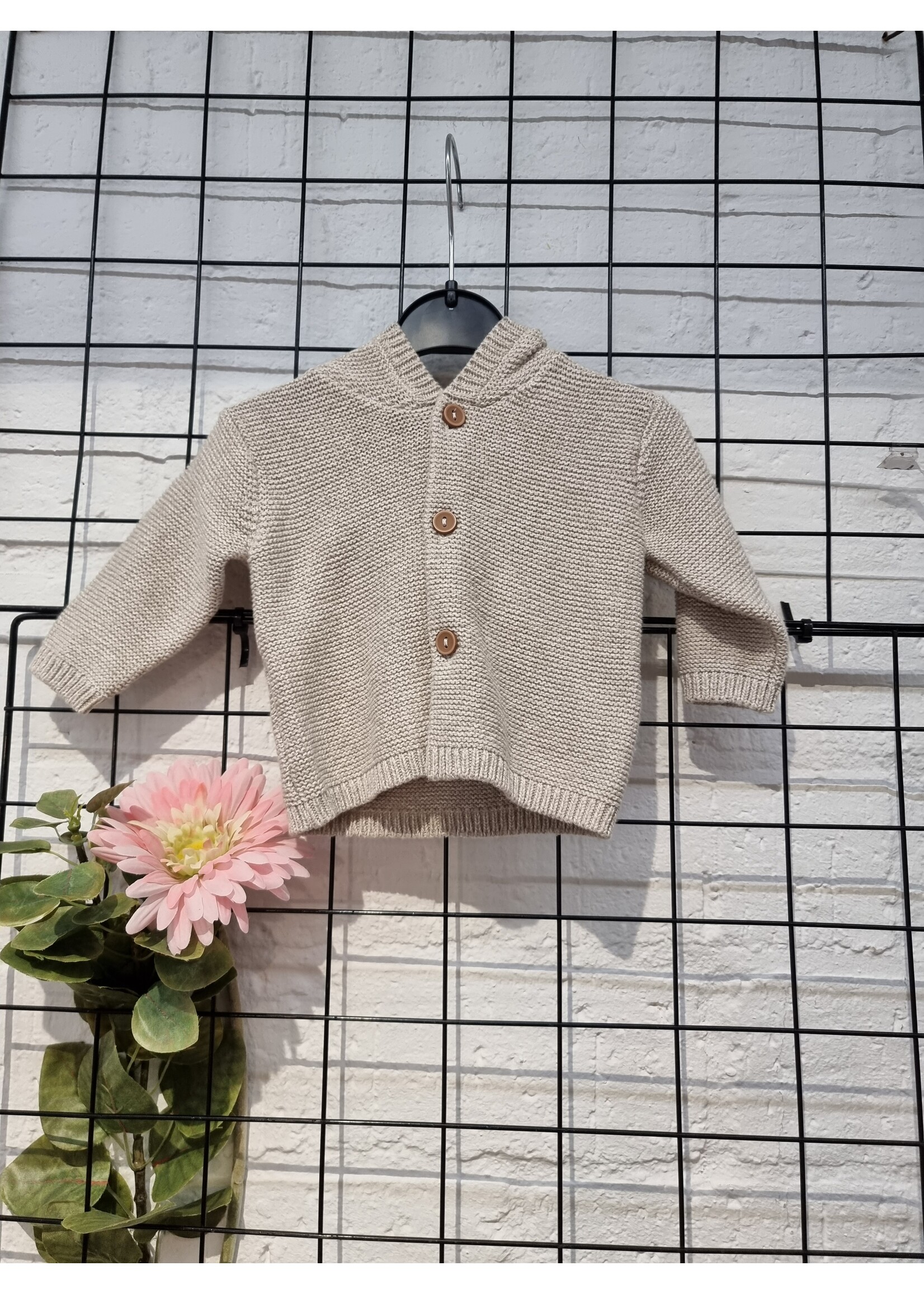 Knitwear vestje met capuchon