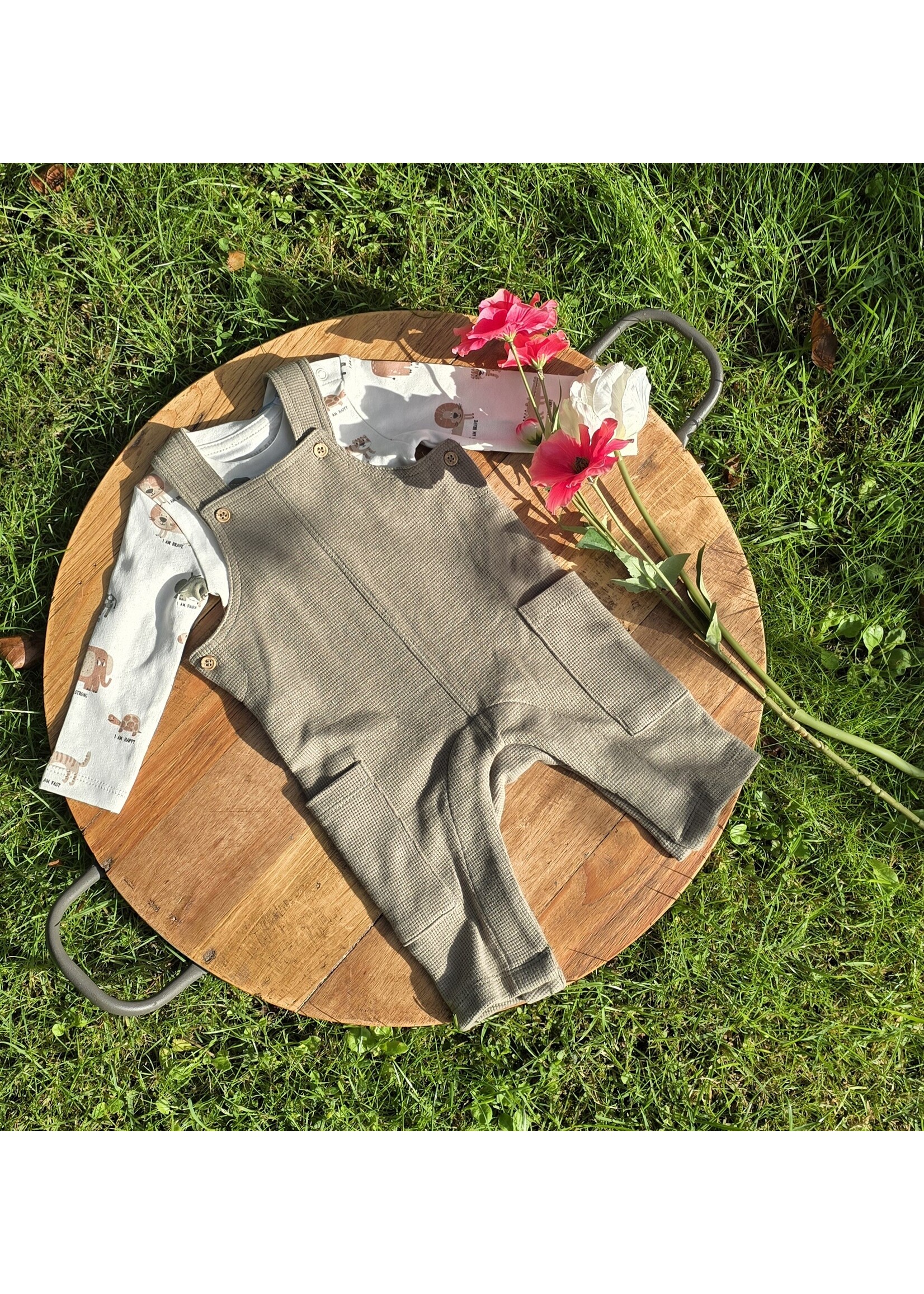 Baby set tuinbroek met truitje