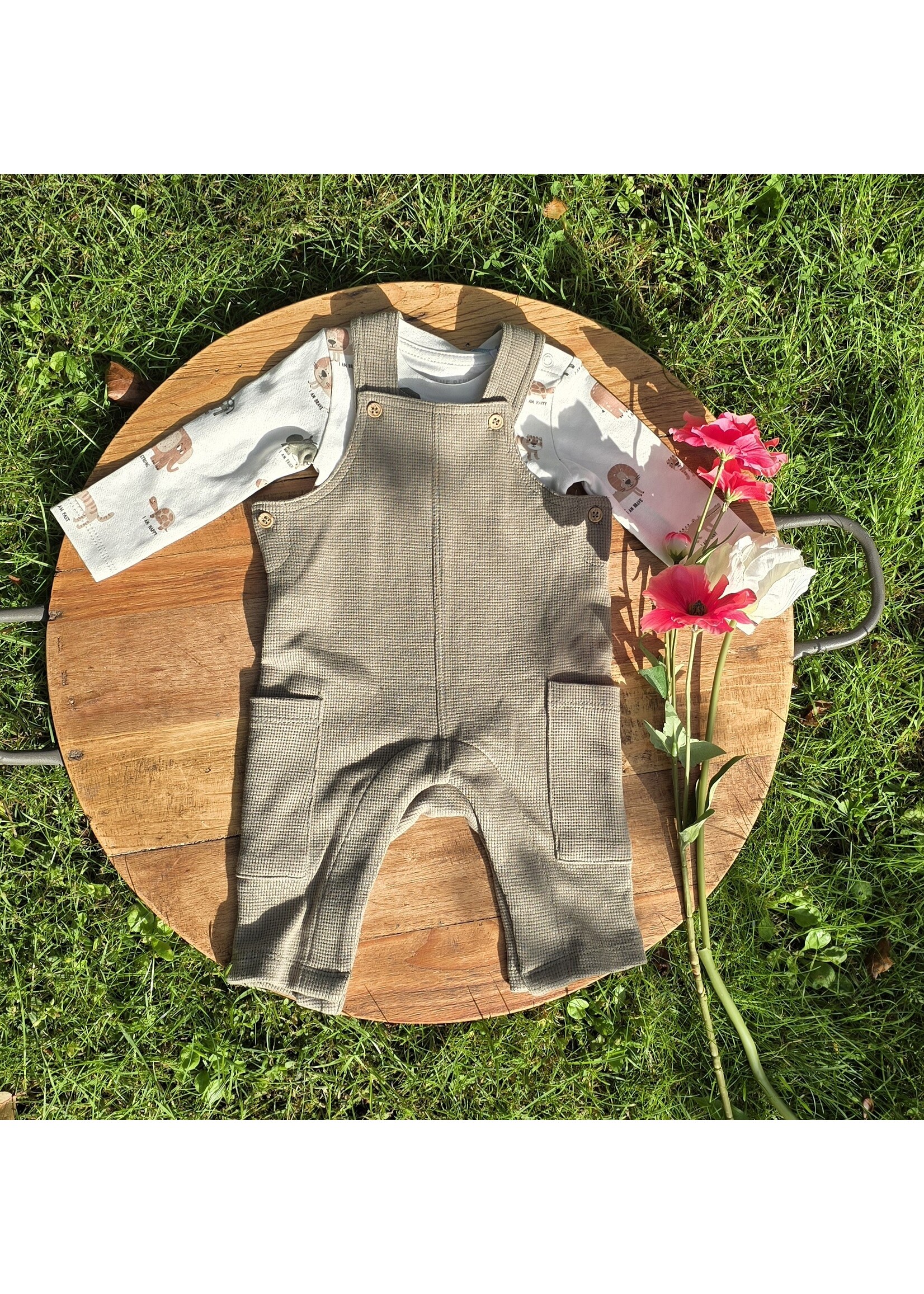 Baby set tuinbroek met truitje