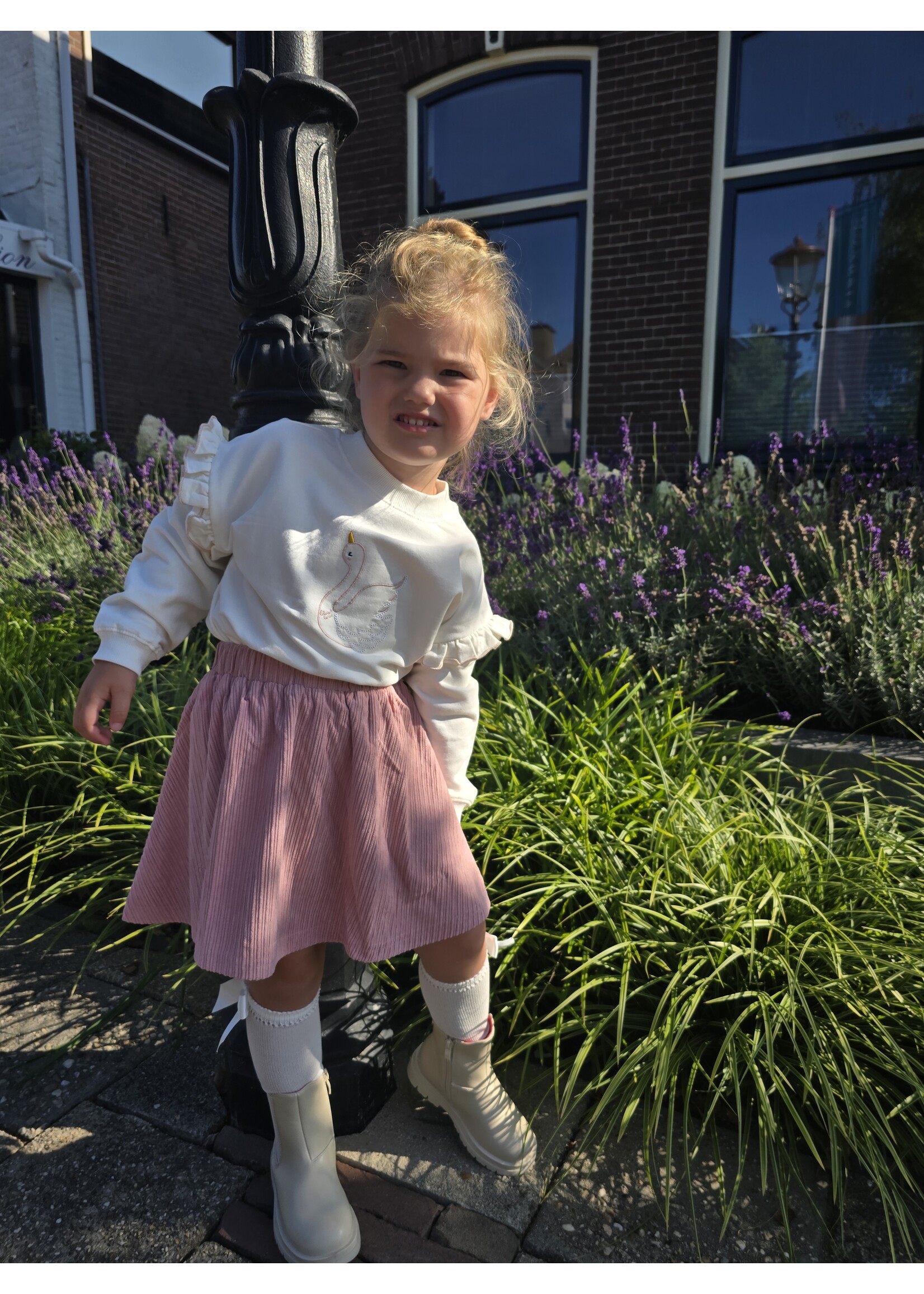 Rib rokje Roze