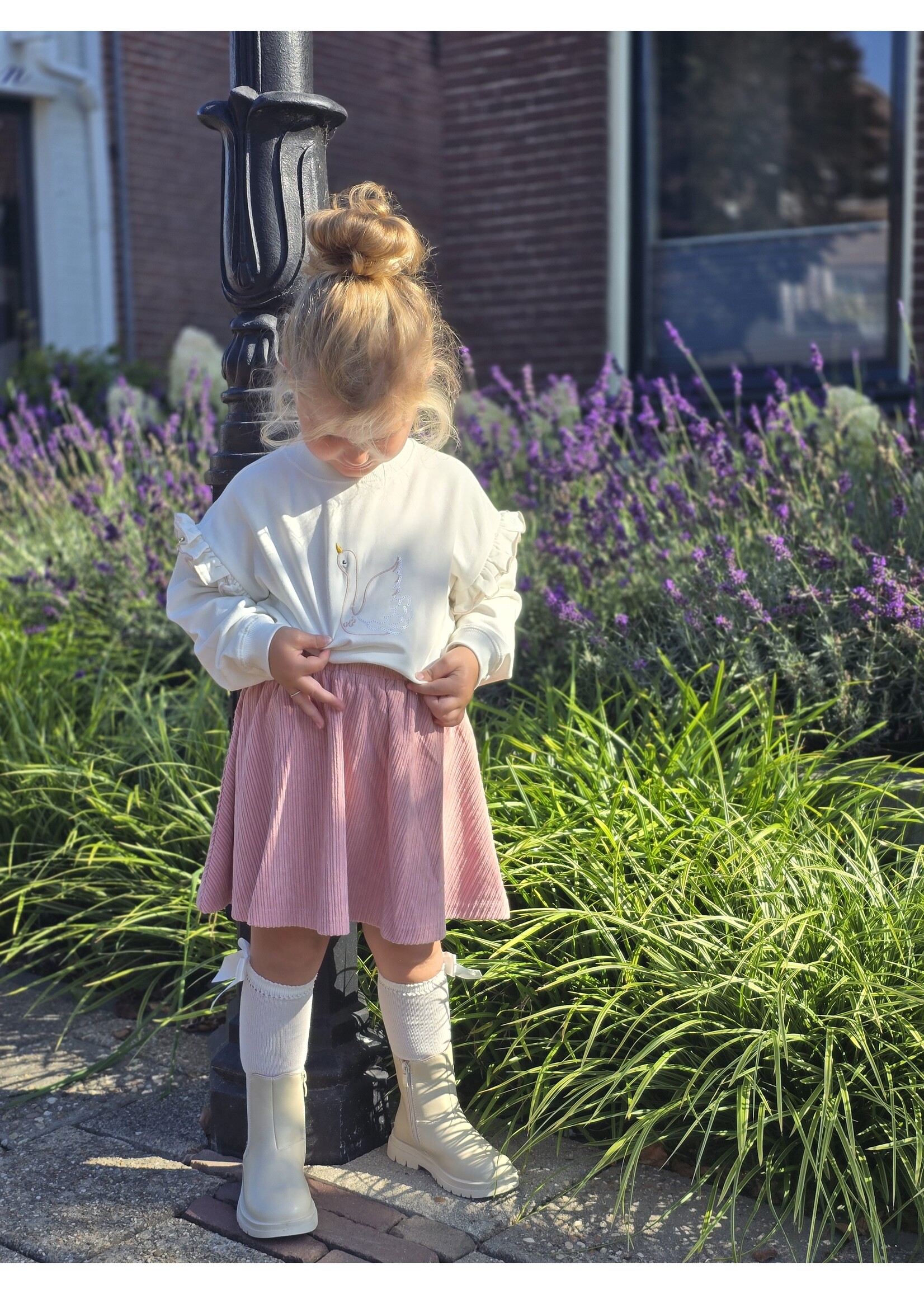 Sweater Zwaan