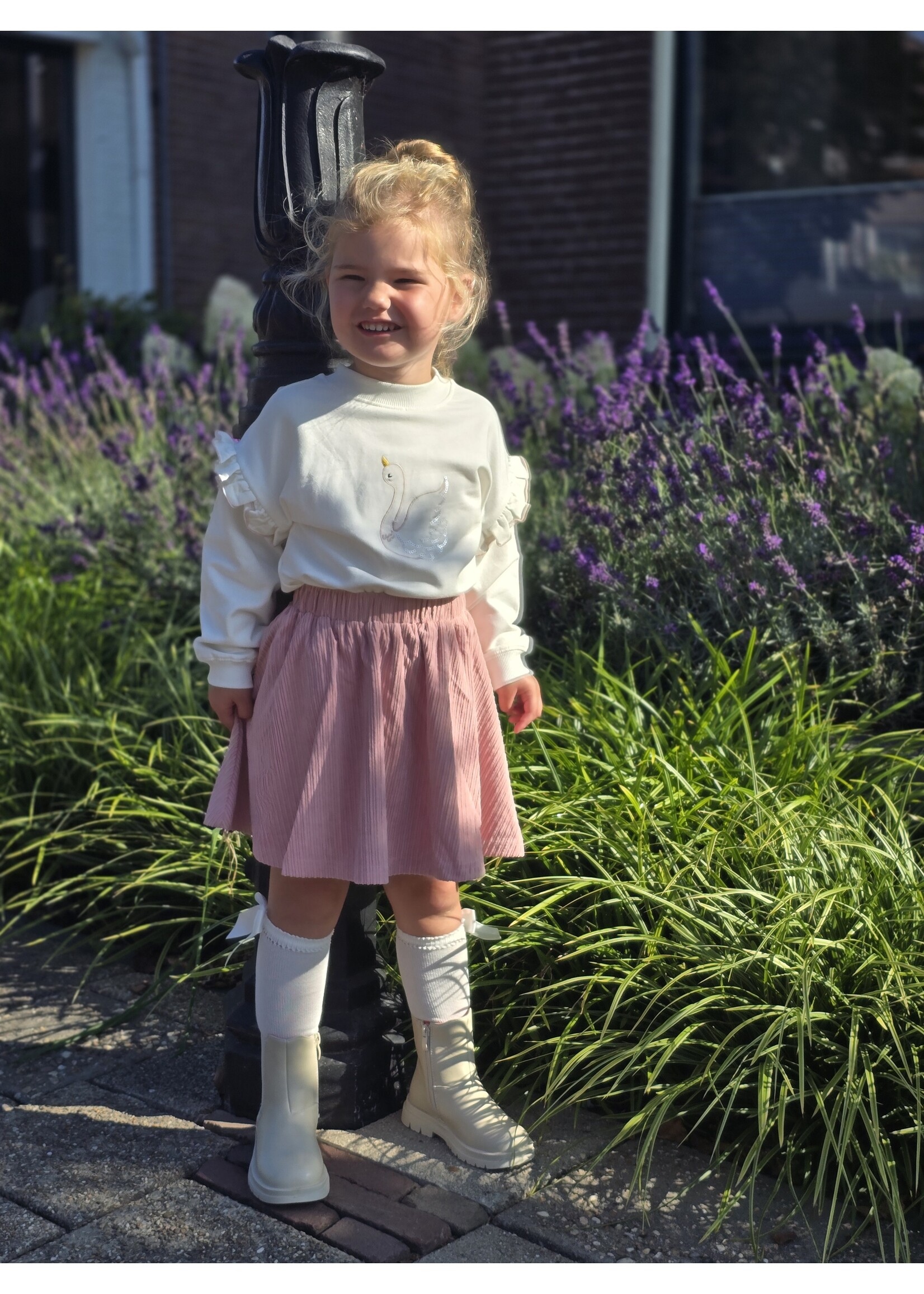 Sweater Zwaan