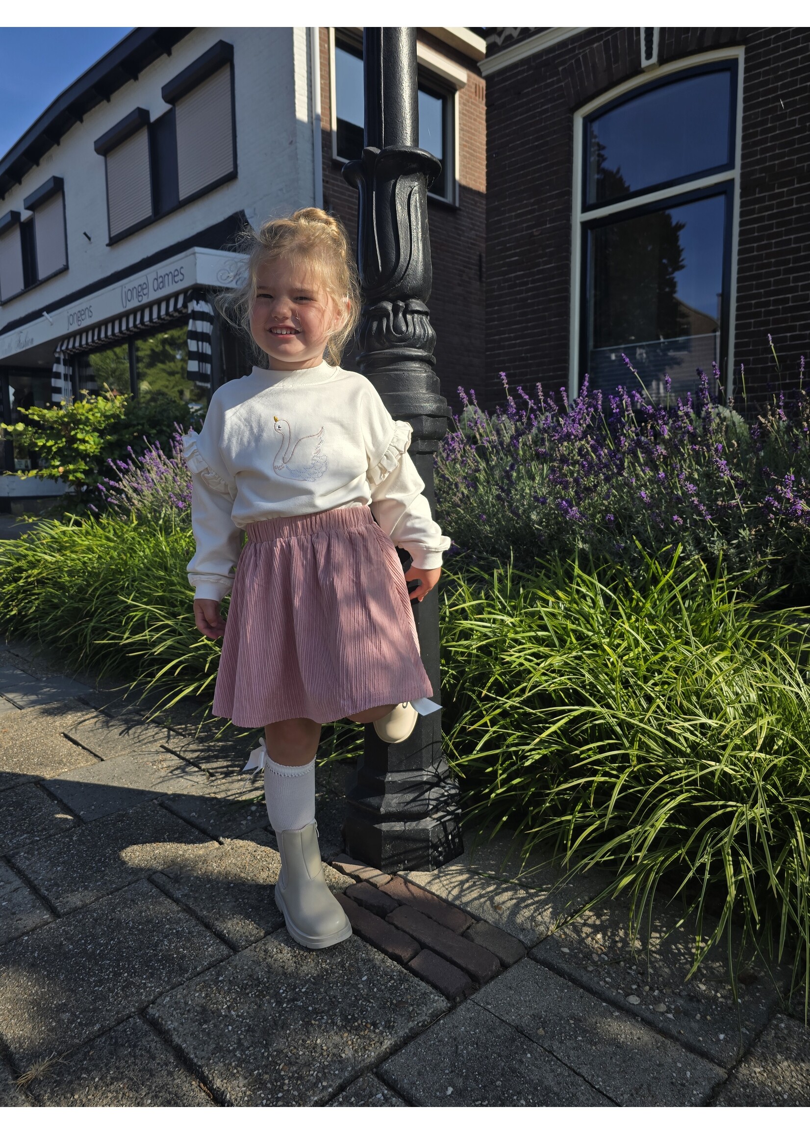 Sweater Zwaan