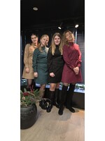 Suedine Jurk Loïs  vier kleuren