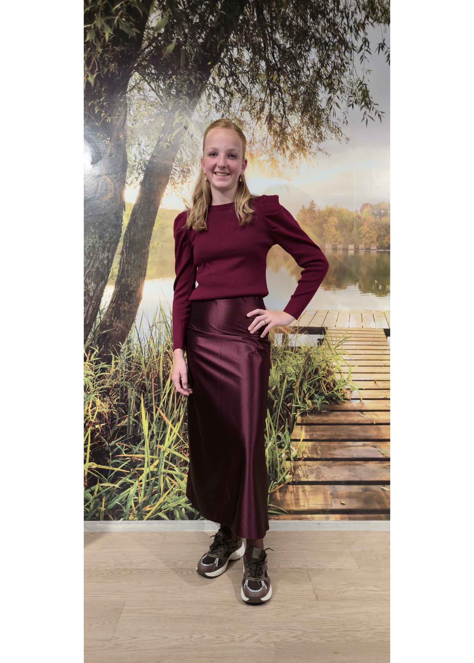 Top Marieke bruin en rood