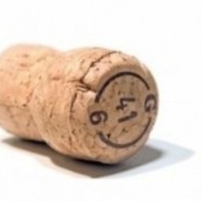 gebruikte champagne kurken - 50 STUKS