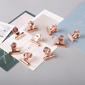 Pushpin Clips - 20 stuks - Rosé