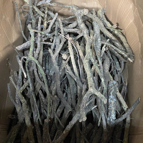 Kurk takken - boomstammetjes - per kg.