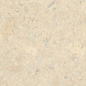 Gelakte plak kurkvloer - Champagner White - 60 x 30 cm. - per m²