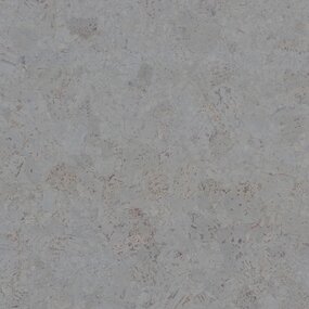 Gelakte plak kurkvloer - Champagner Ash - 60 x 30 cm. - per m²