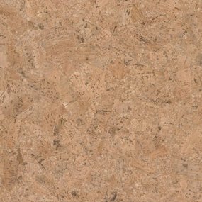 Plak kurkvloer - Champagner - 30 x 30 cm - 4mm - m²