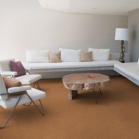 Plak kurkvloer - Standard - 30 x 30 cm - 4mm - m²