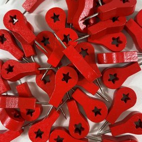 Pushpins - Locatie  pins - 40 stuks