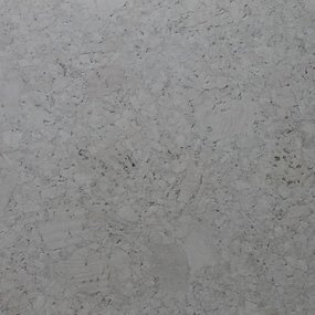 Gelakte plak kurkvloer - Champagner Slate Grey - 60 x 30 cm. - per m²