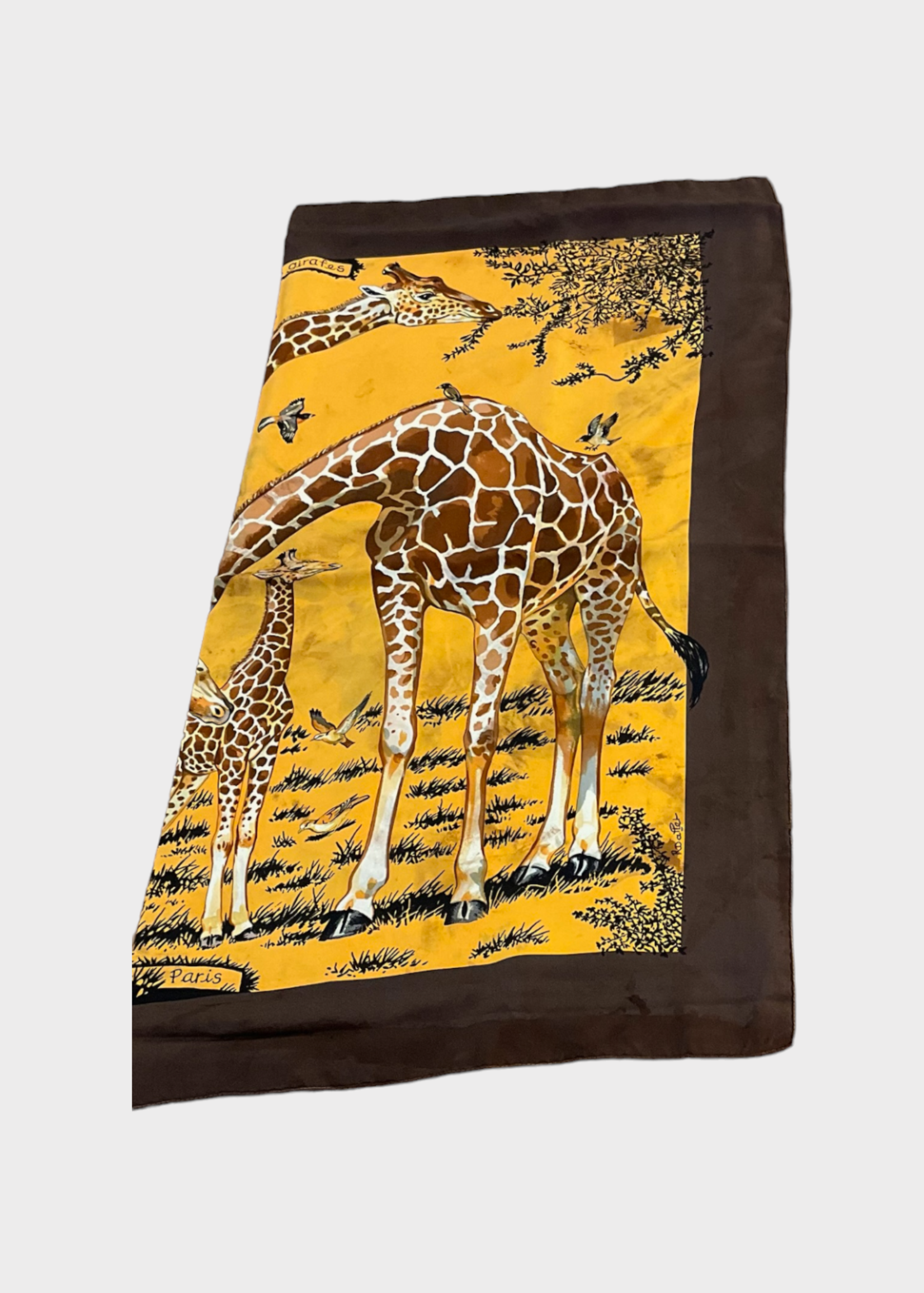 Dianora Salviati Dianora Salviati Scarf, Multi, Silk & Cashmere Hand Painted in Yellow w/ Giraffe Vintage Hermes Print