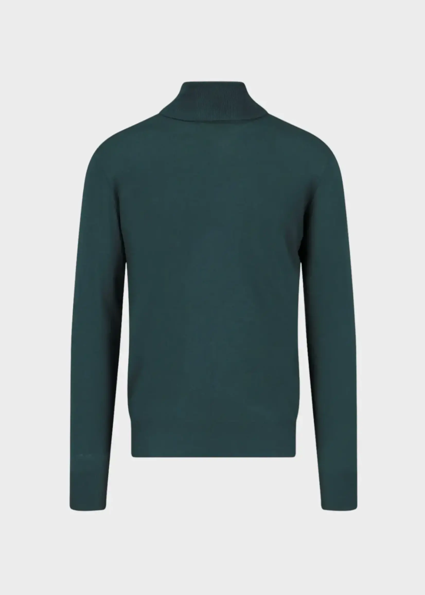 Loro Piana Loro Piana Knitwear, Green, Baby Cashmere Turtle Neck Classic Knitwear In Dark Green