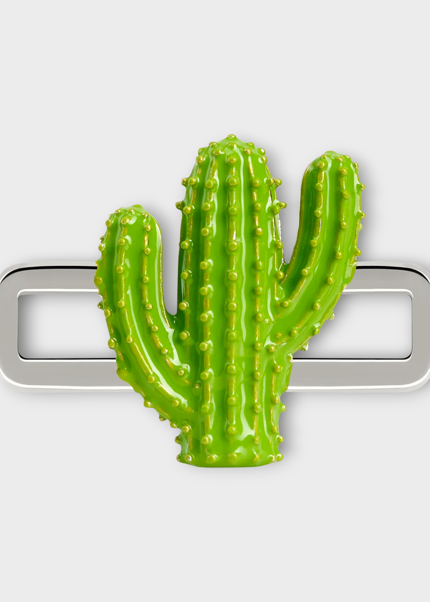 Poubel Poubel Charm, Print, Cactus Hand Painted Enamel w/ Sterling Silver