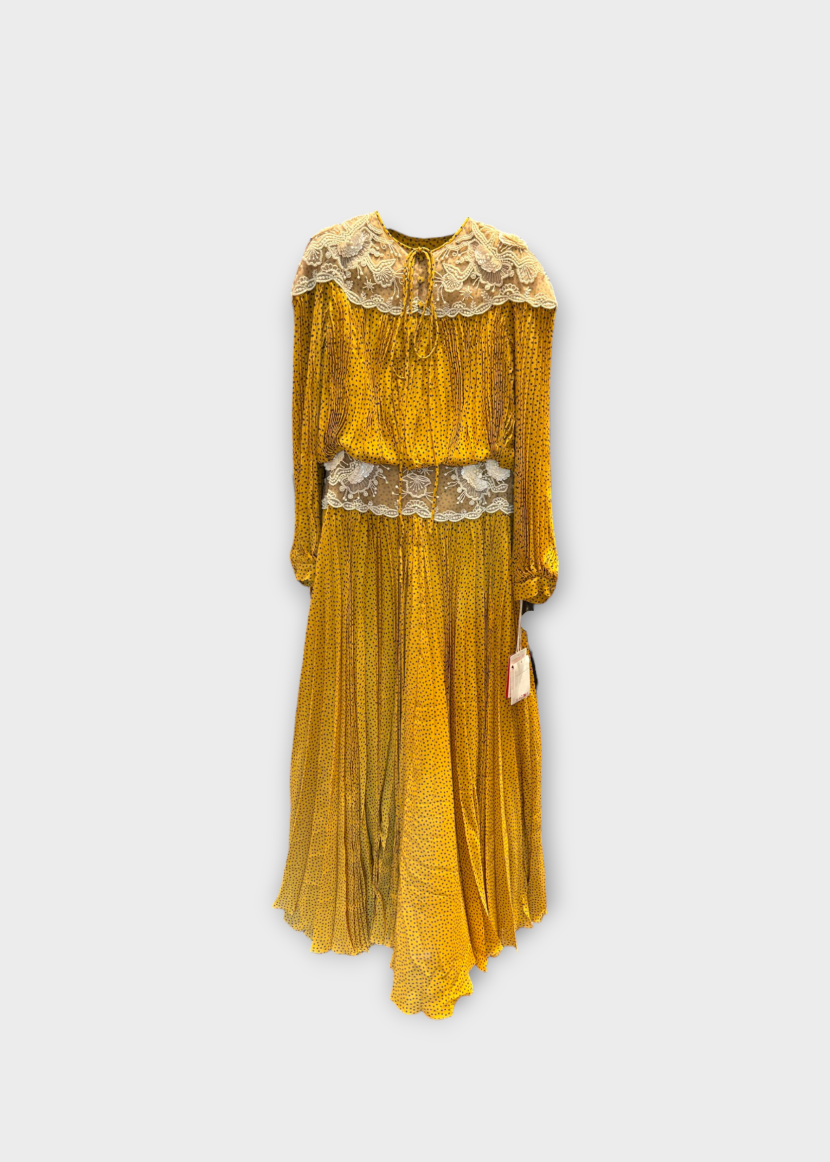 Valentino Valentino Dress, Multi, Long Sleeve Pleated Lace Detail Dotted Long Gown In Ocra