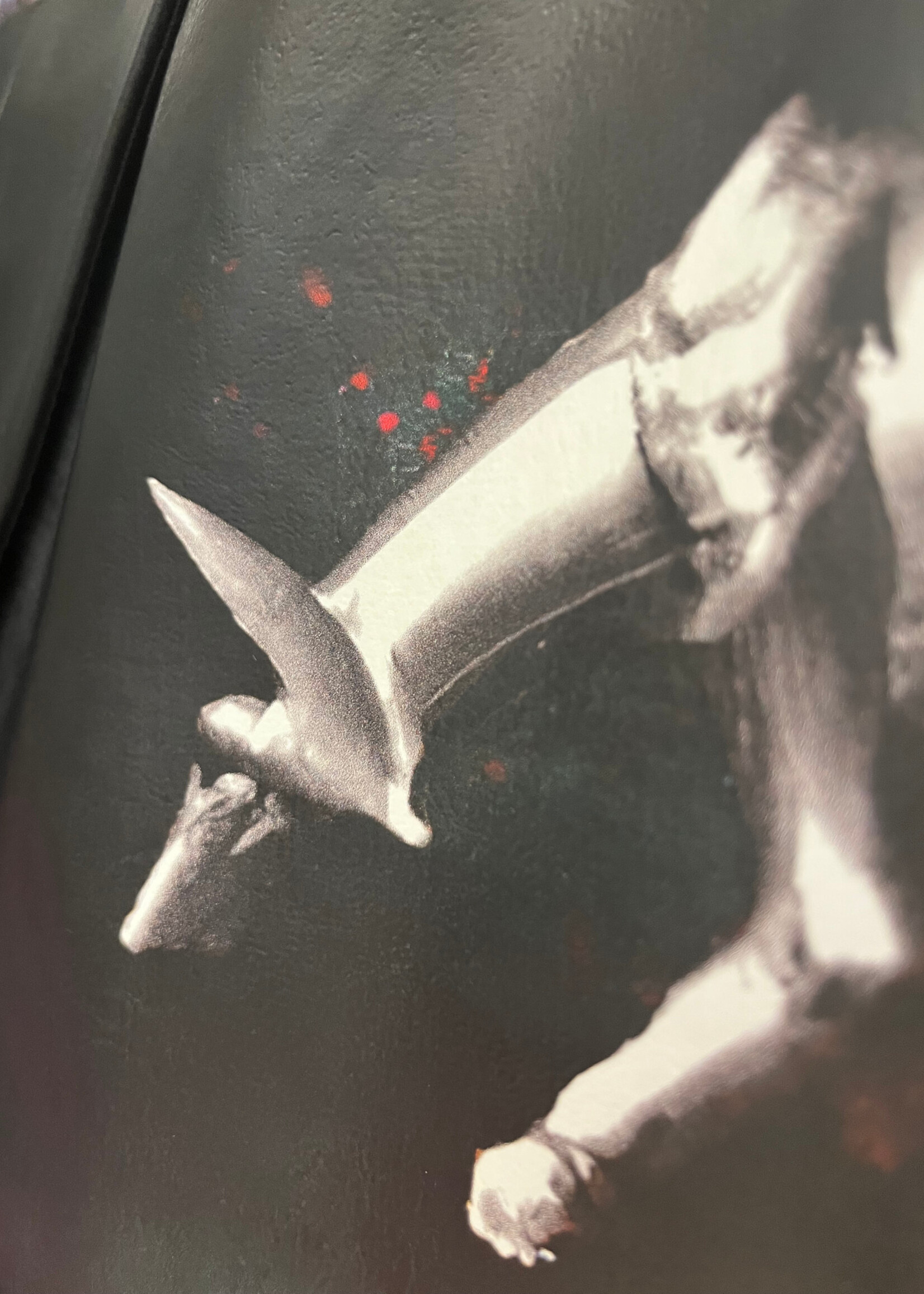 Coperni Coperni Skirt, Print, Faux Leather Structured Tailored Mini Skirt In Midnight w/ Exaggerated Side Slit & Animal Print