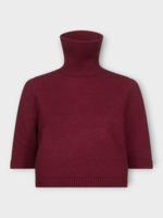 Alaia Alaia Knitwear, Red, Cashmere Turtle Neck Short Sleeves Cropped Jumper In Bordeaux