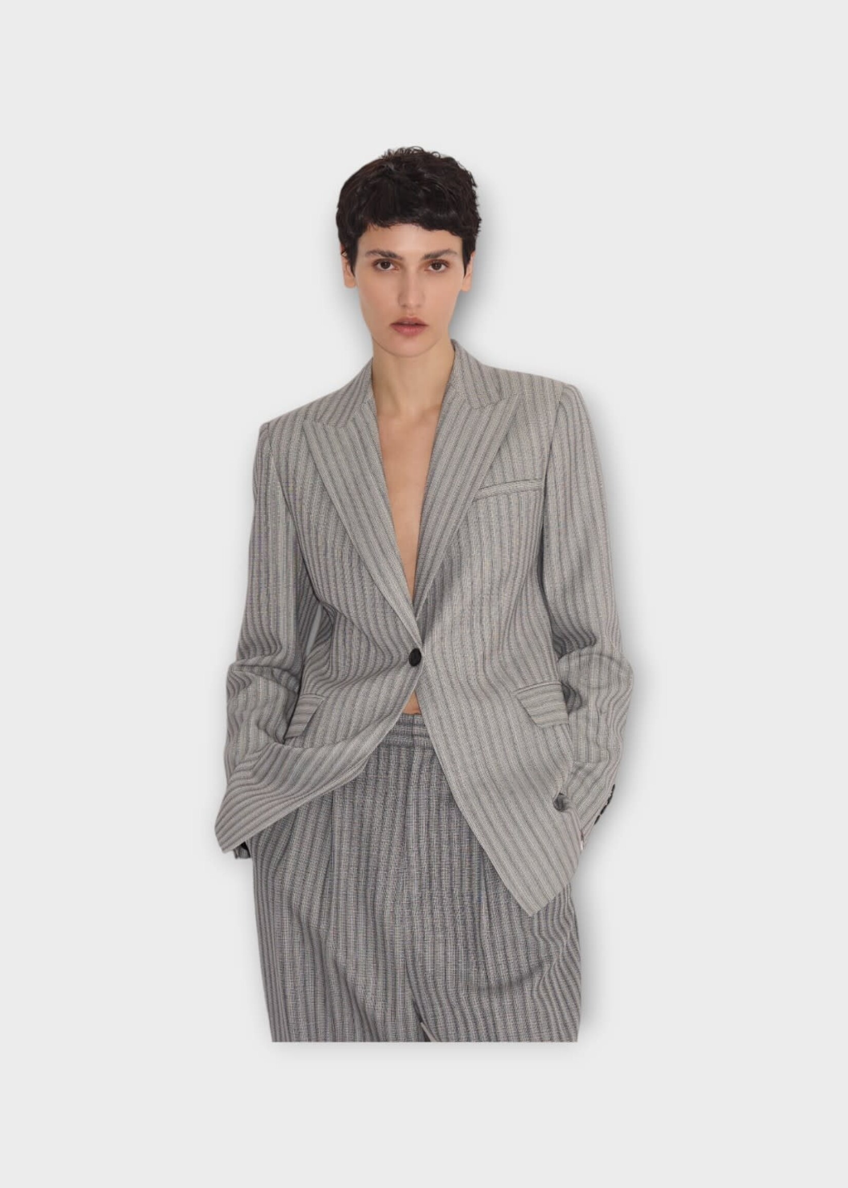 Partow Partow Jacket, Print, Bow Virgin Wool Single Breasted Blazer In Light Grey Stripe w/ Flap Pockets