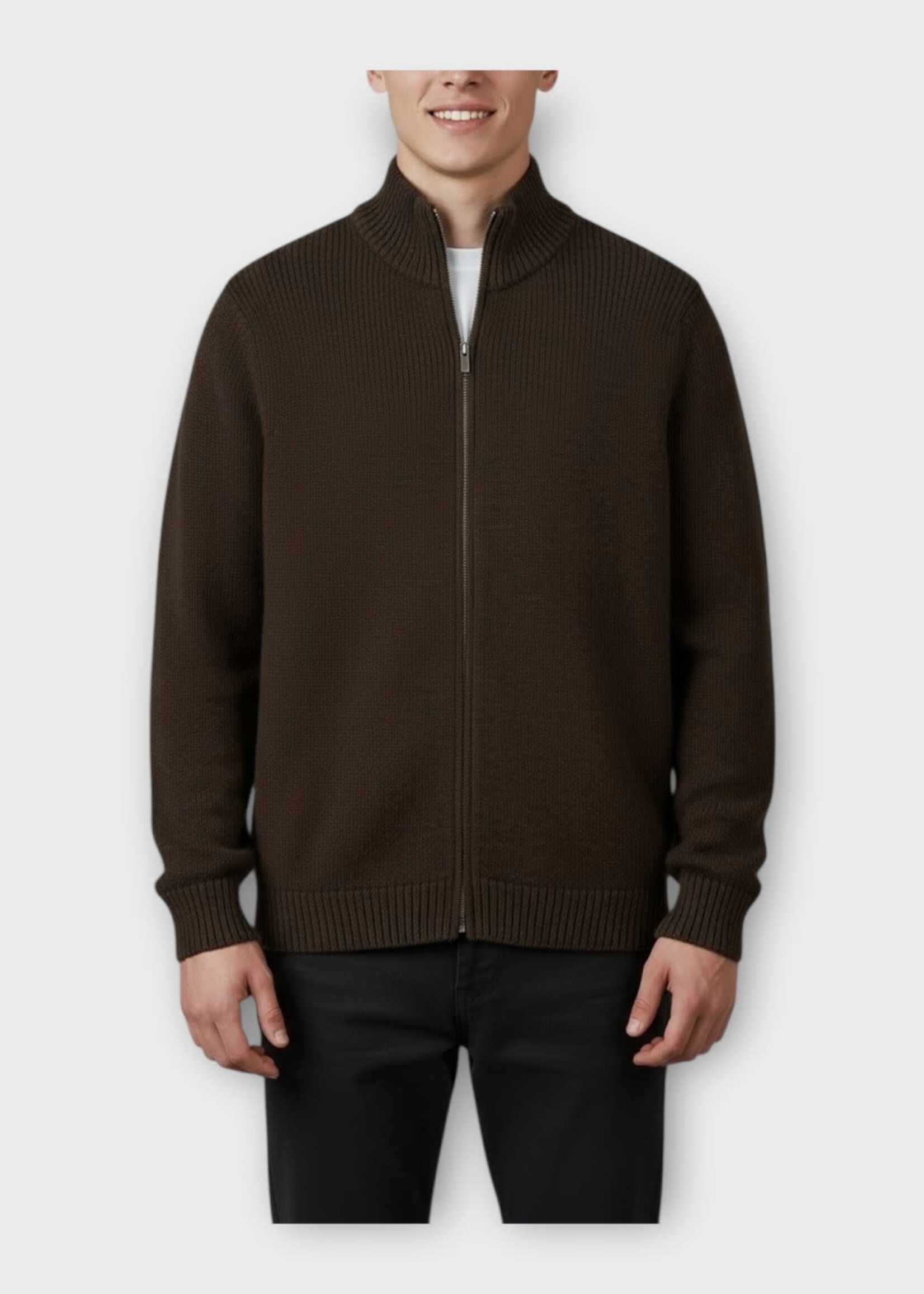 Massimo Alba Massimo Alba Jacket, Brown, Maxim Wool Zipped Up Bomber Sweater in Castoro