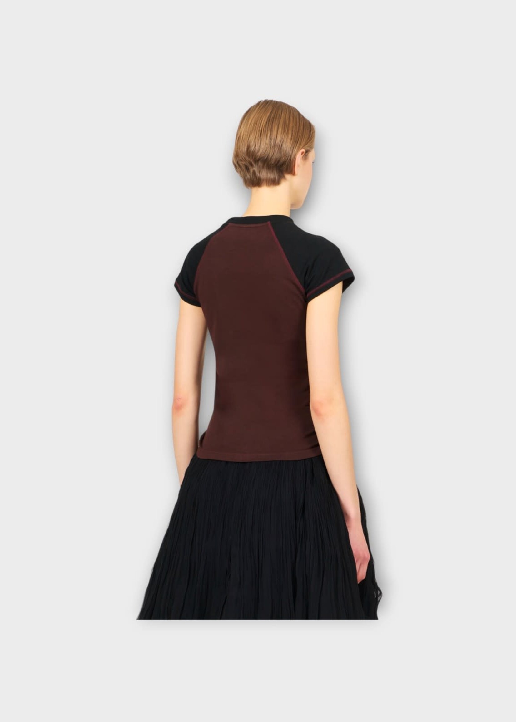 Loewe Loewe T-Shirt, Multi, Cotton Mix Small Fit T-Shirt In Black & Burgundy w/ Anagram Embroidery